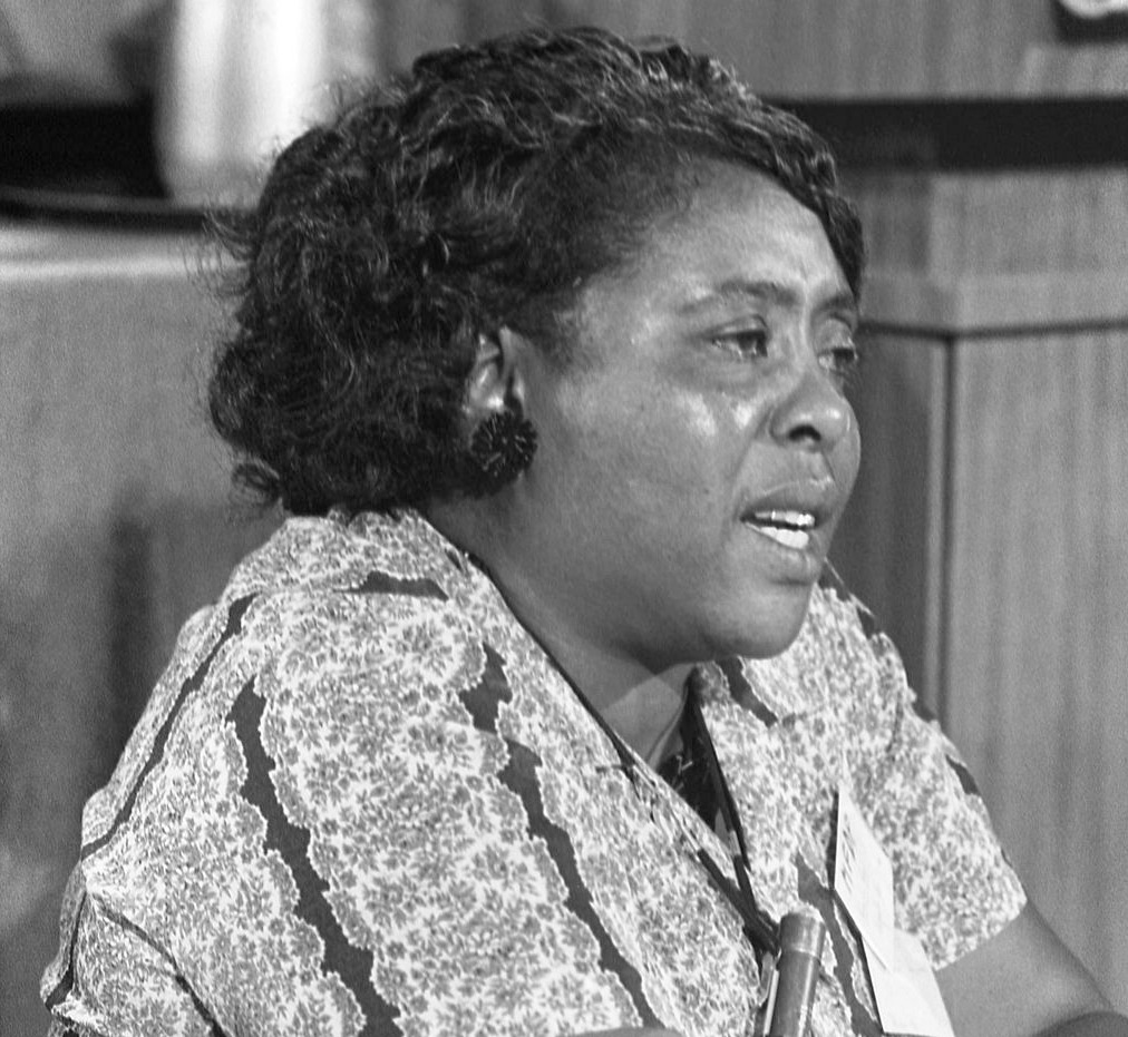 Fannie Lou Hamer 1964 08 22