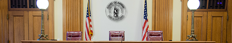 appellate court experience