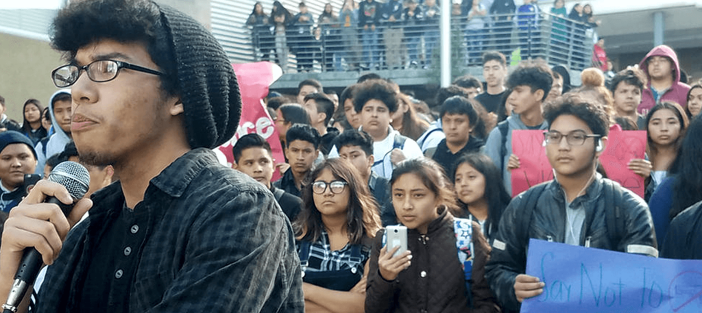 civic action project