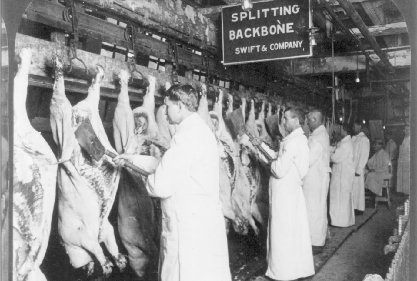 meet-packing industry inspection