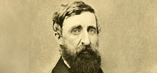 thoreau