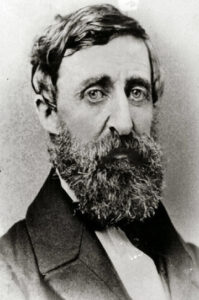David Thoreau