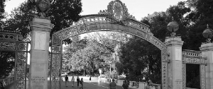 Berkeley free speech movement